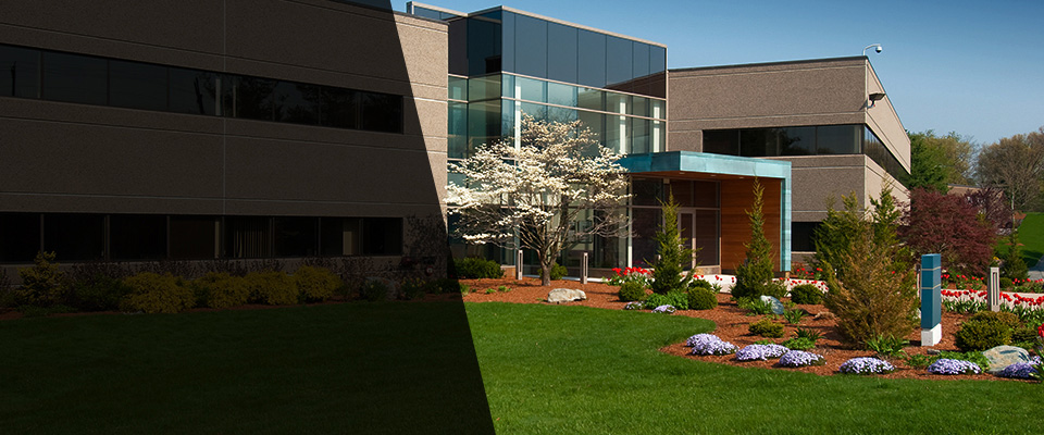 Needham Landscapers