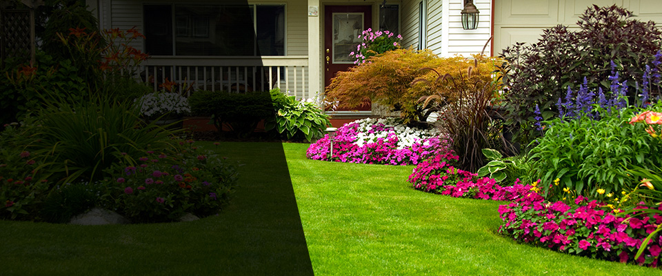 Needham Landscapers