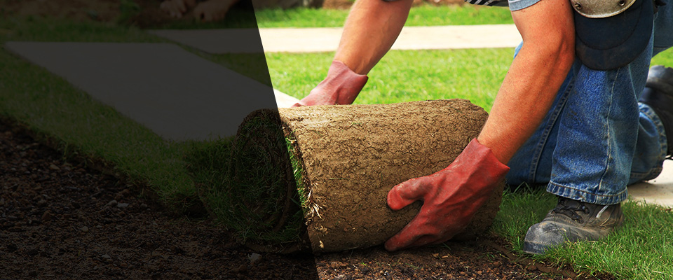 Needham Landscapers